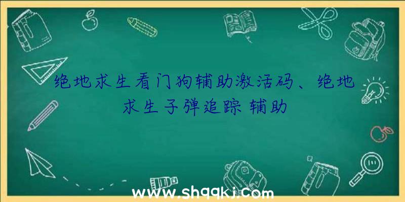 绝地求生看门狗辅助激活码、绝地求生子弹追踪